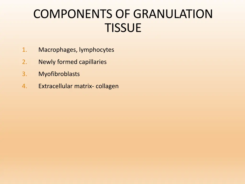 components of granulation tissue
