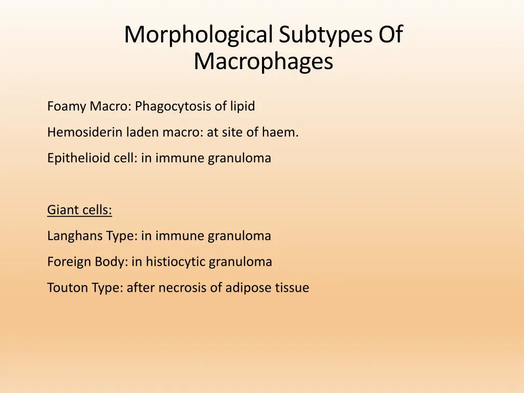 morphological subtypes of macrophages