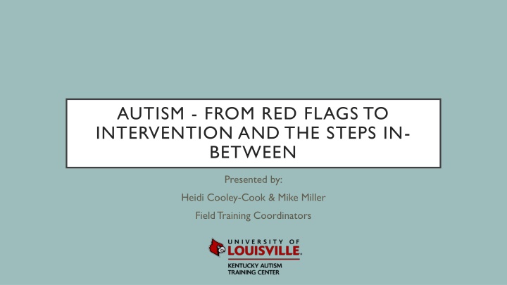 autism from red flags to intervention