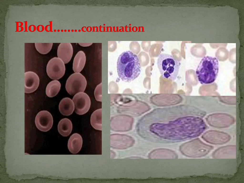 blood continuation