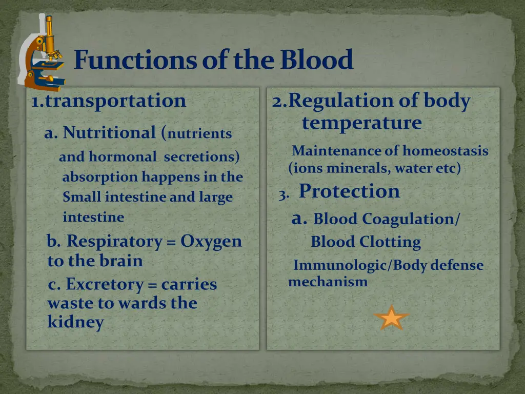 functions of the blood