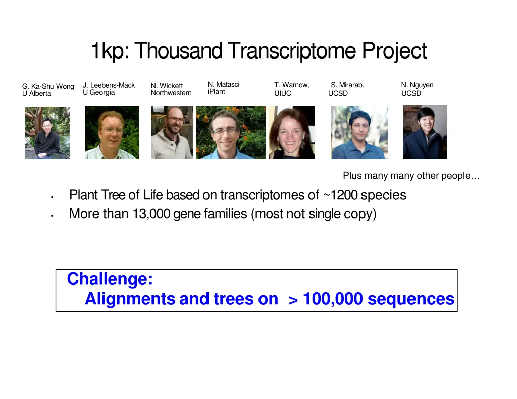 1kp thousand transcriptome project