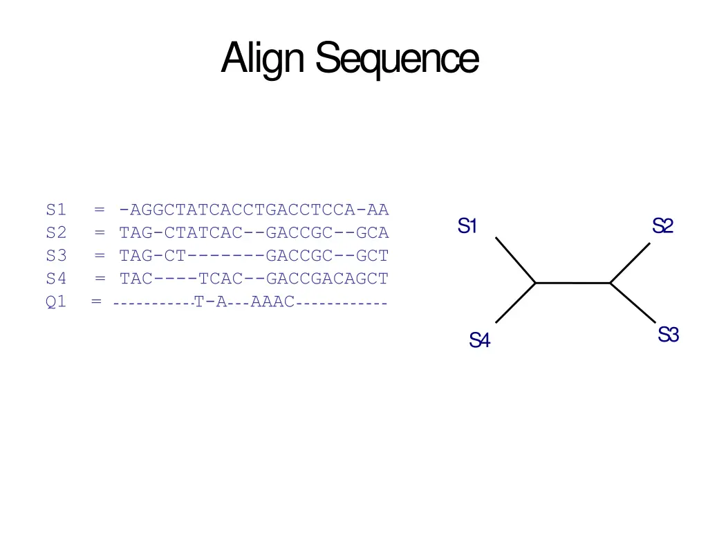 align sequence