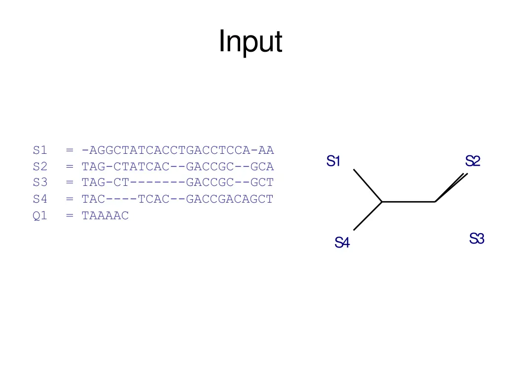input