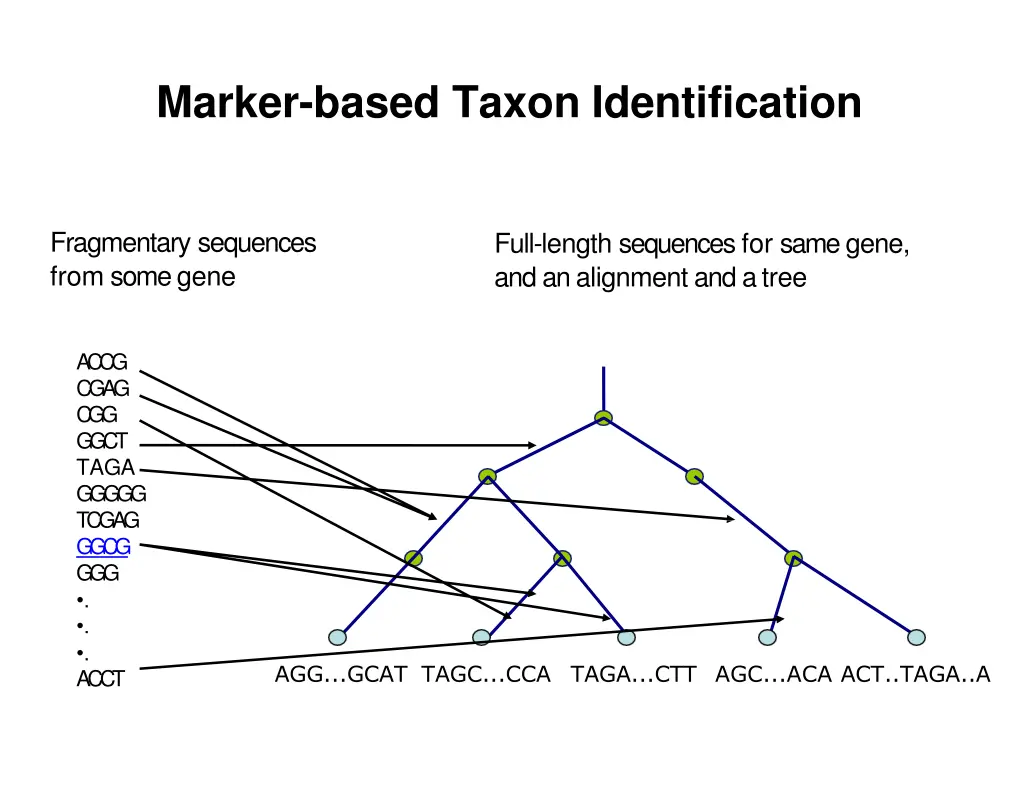 marker based taxon identification