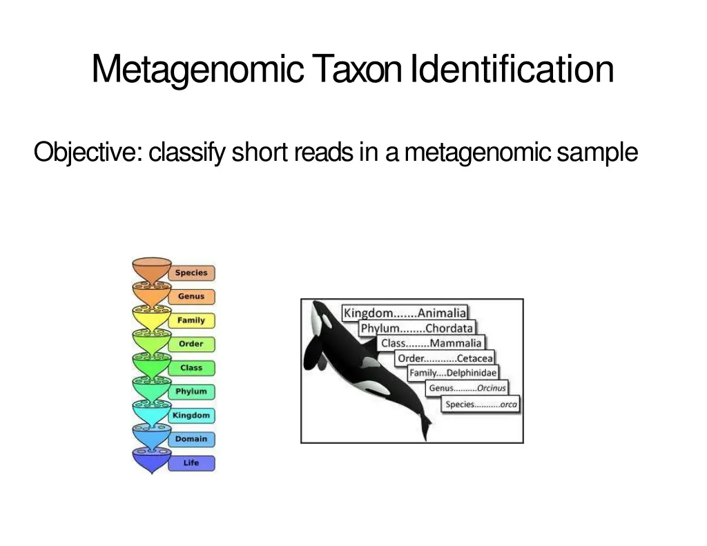 metagenomic taxon identification