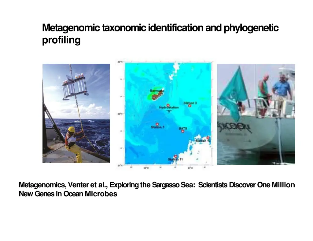 metagenomic taxonomic identification
