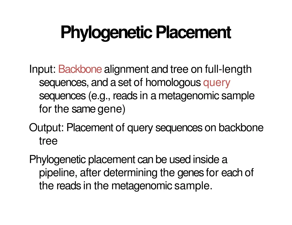 phylogenetic placement