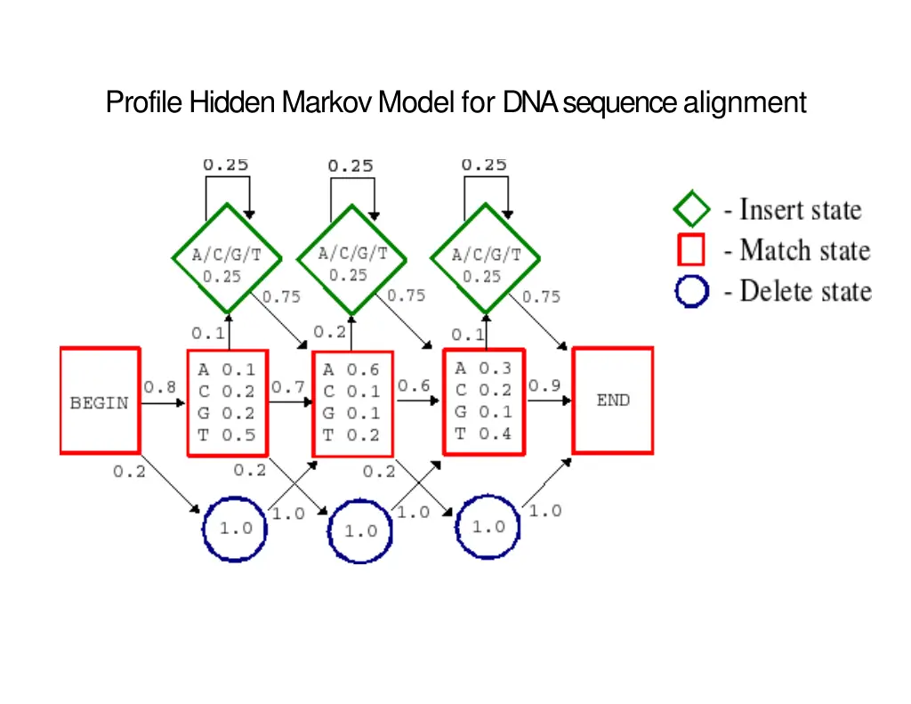 profile hidden markov model for dna sequence