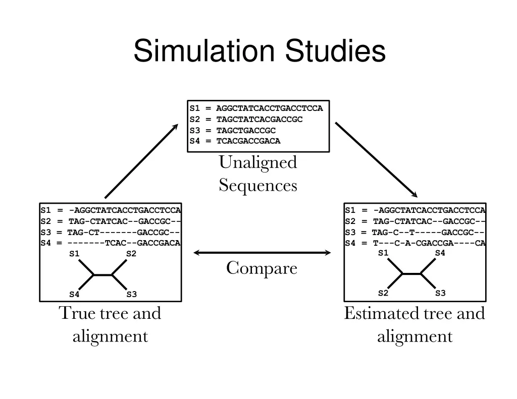 simulation studies