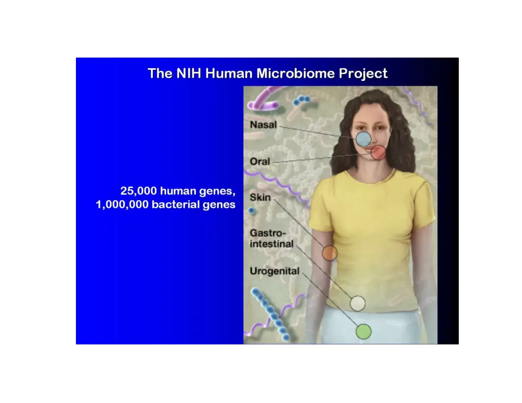 slide29