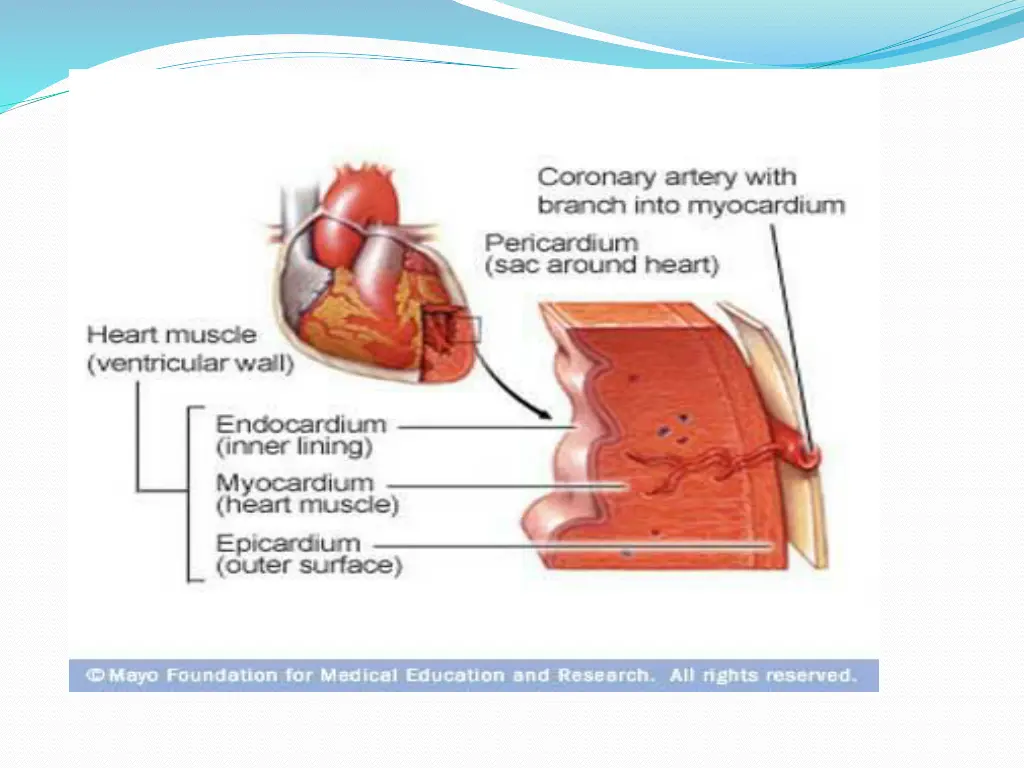 slide3
