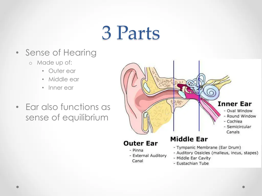 3 parts
