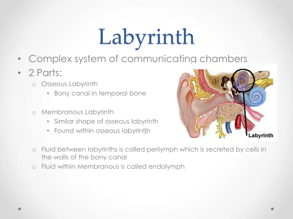 labyrinth