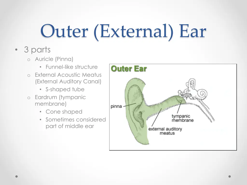 outer external ear 3 parts o auricle pinna funnel