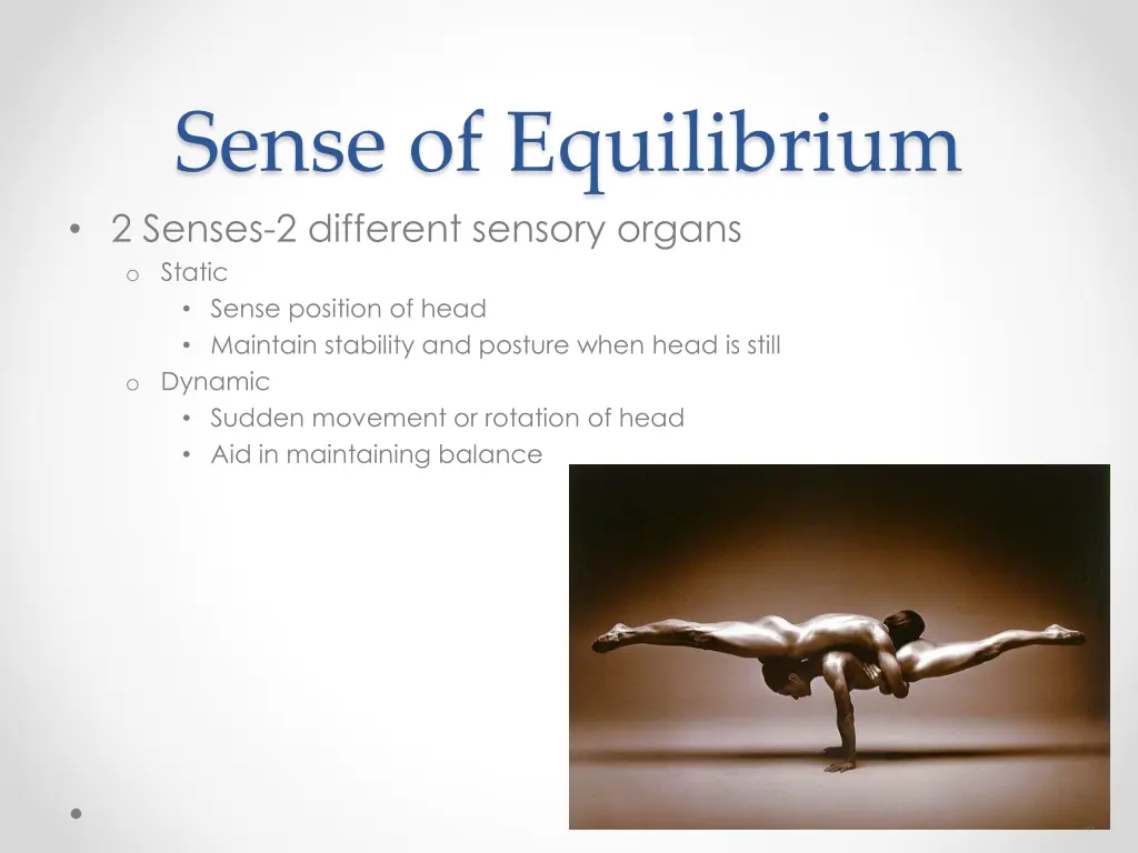 sense of equilibrium 2 senses 2 different sensory