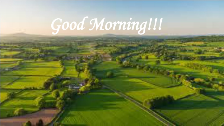 good morning good morning