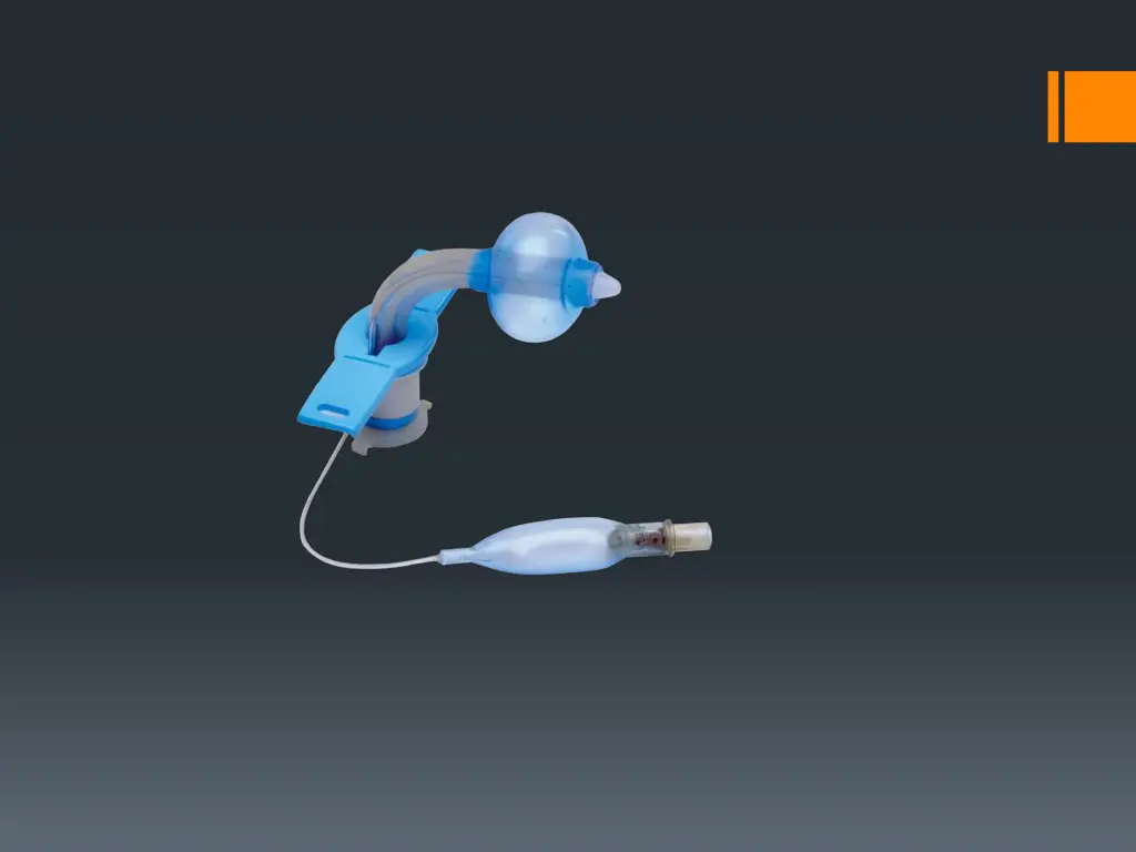 slide15