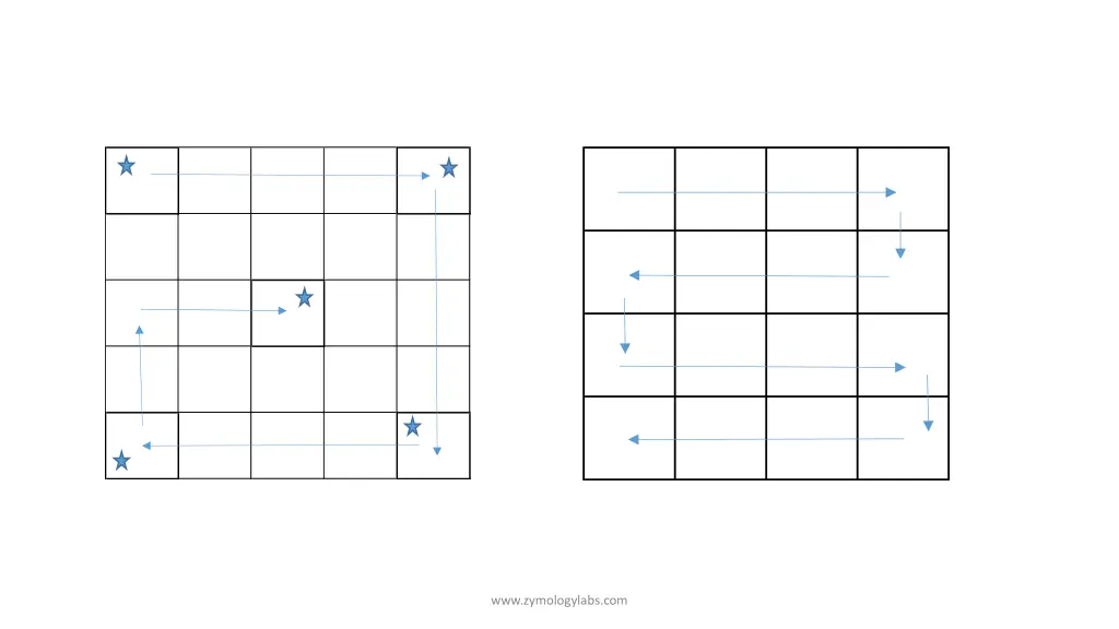 www zymologylabs com