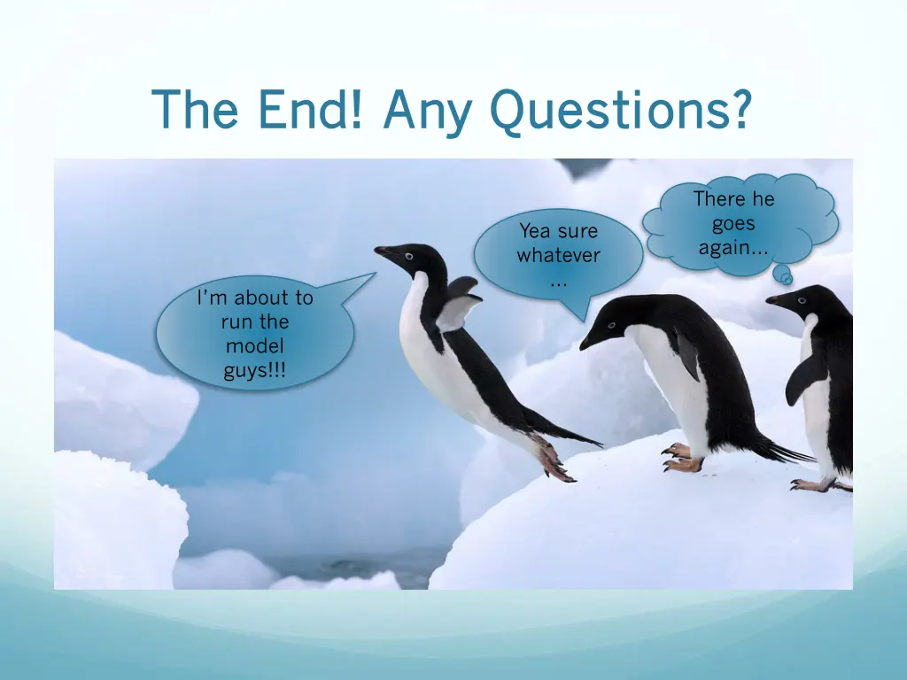 the end any questions the end any questions