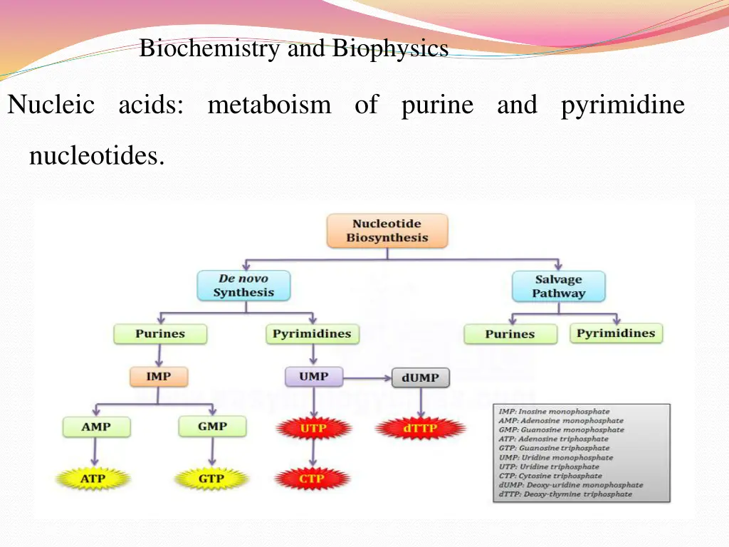 biochemistry and biophysics