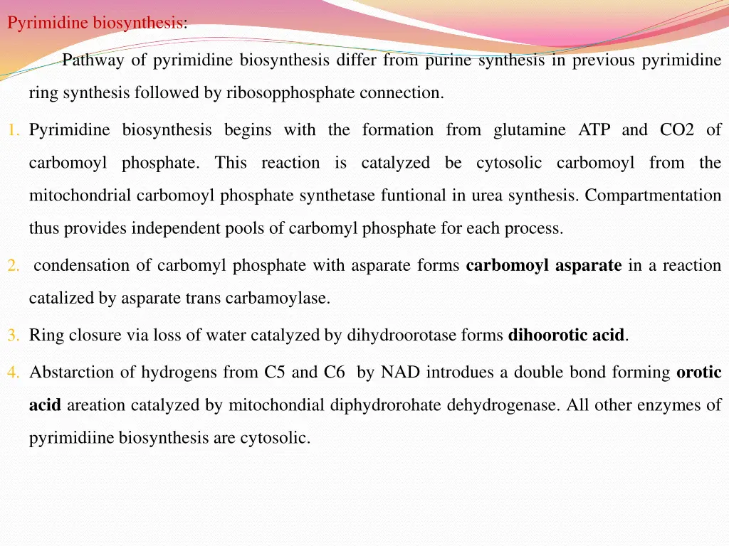 pyrimidine biosynthesis
