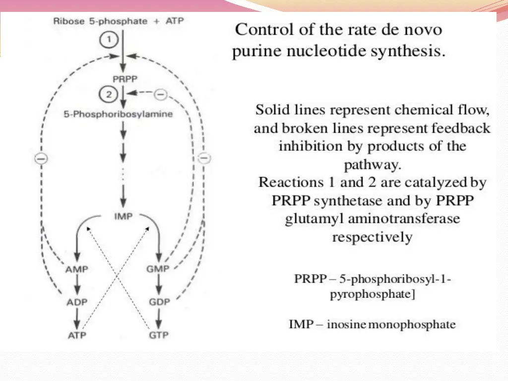 slide11