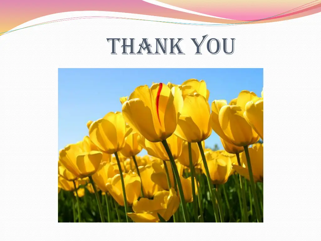 thank you