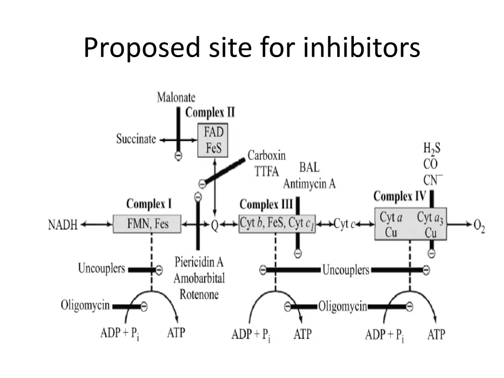proposed site for inhibitors