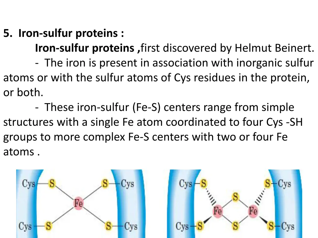 5 iron sulfur proteins iron sulfur proteins first