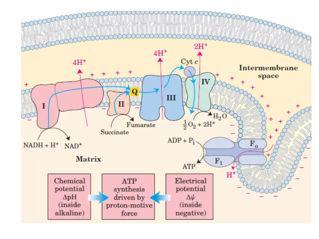 slide39