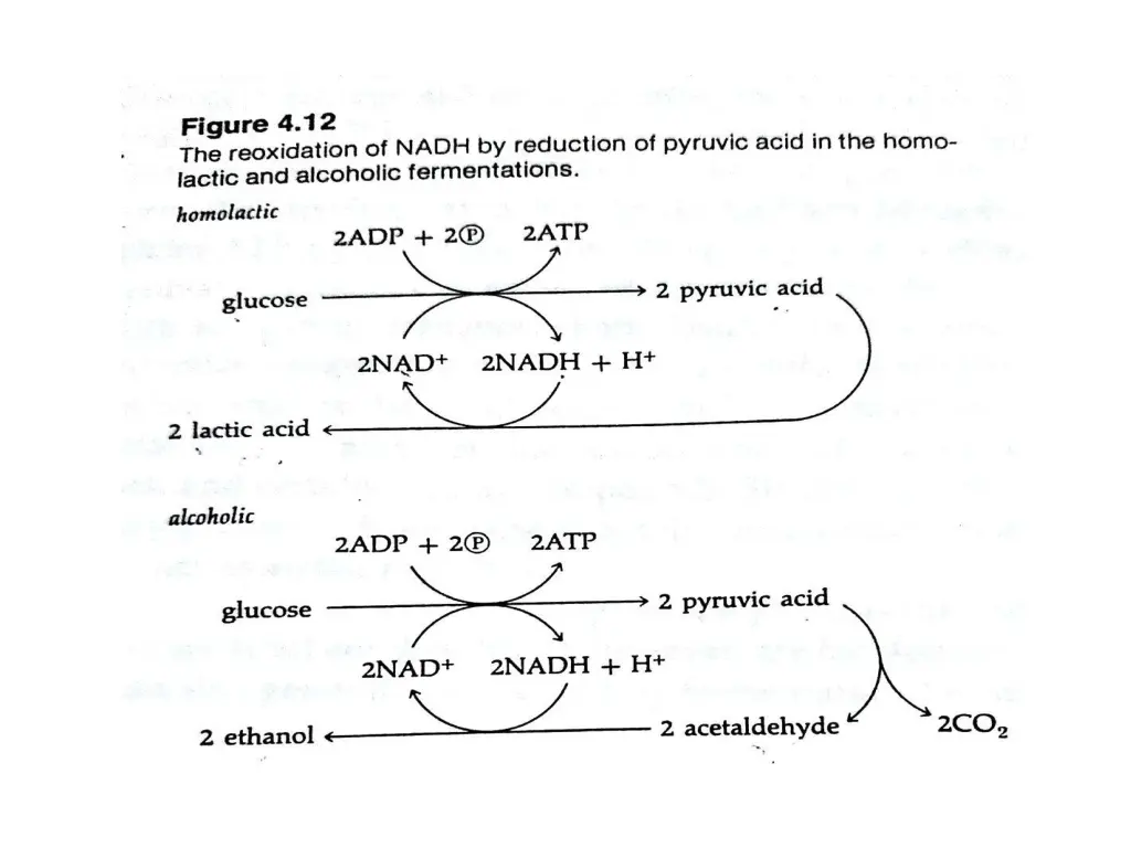 slide50