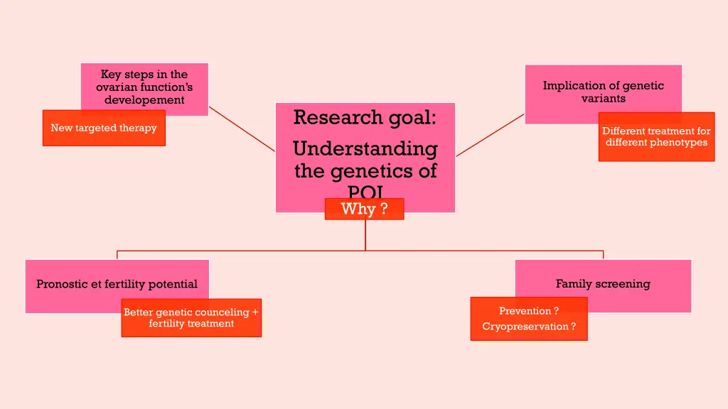 key steps in the ovarian function s developement