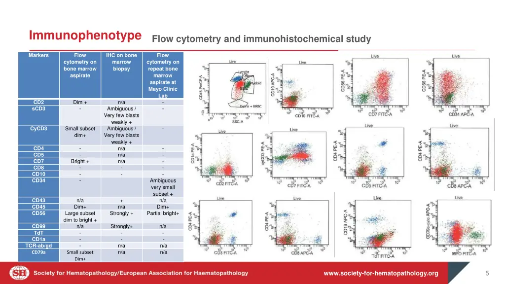immunophenotype