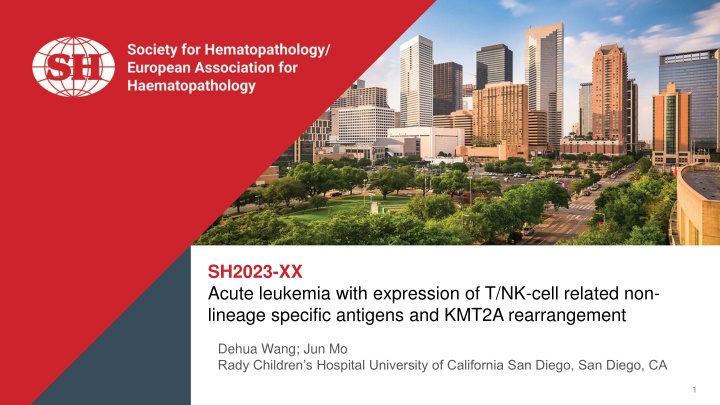 sh2023 xx acute leukemia with expression