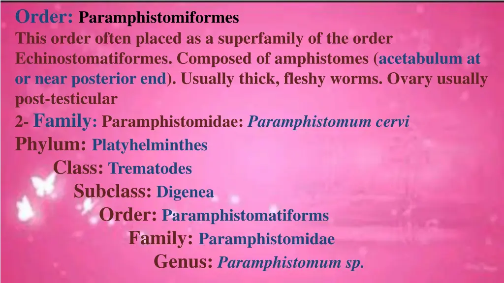 order paramphistomiformes this order often placed