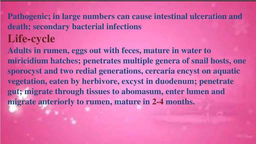 pathogenic in large numbers can cause intestinal