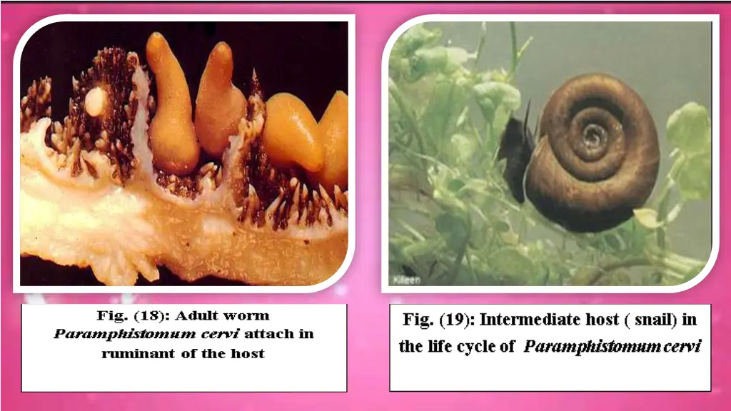 slide7