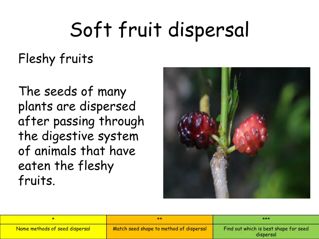 soft fruit dispersal