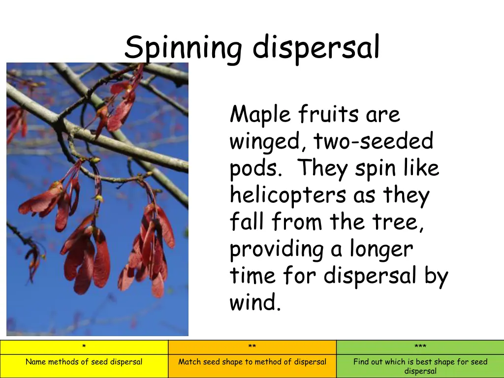spinning dispersal