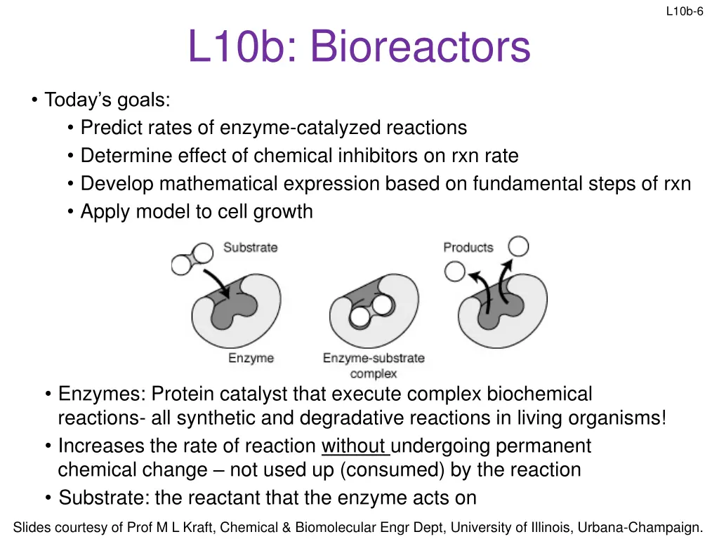 l10b 6