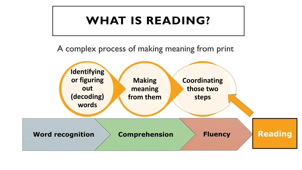 what is reading 1