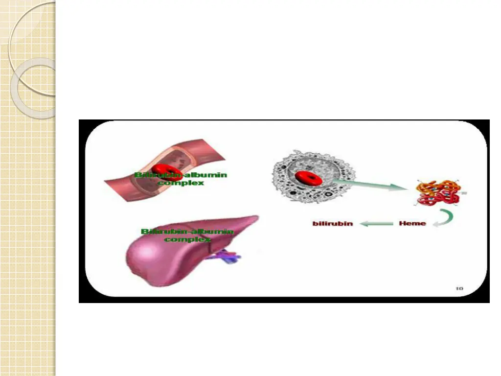 slide14