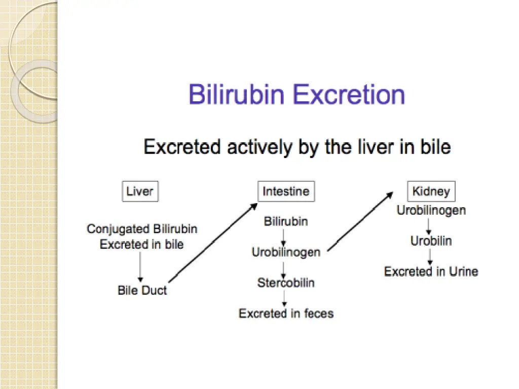 slide18