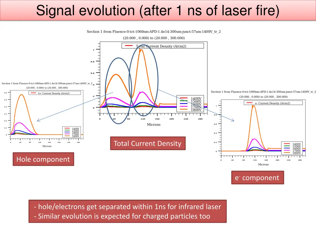 signal evolution after 1 ns of laser fire