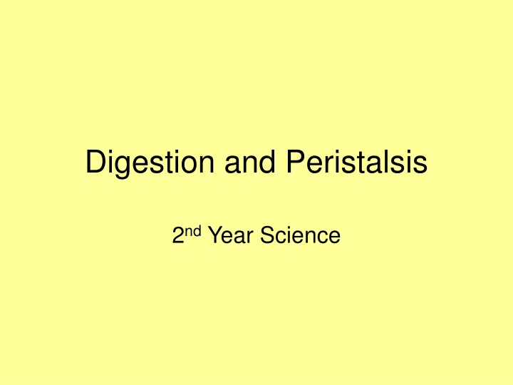 digestion and peristalsis