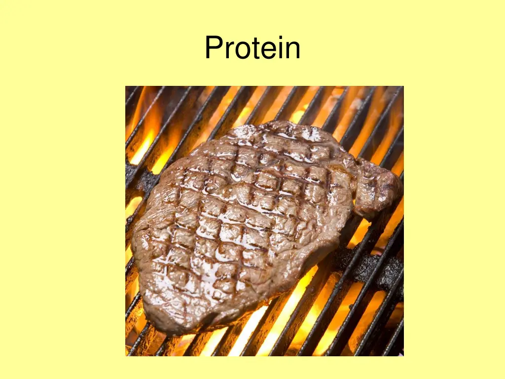 protein