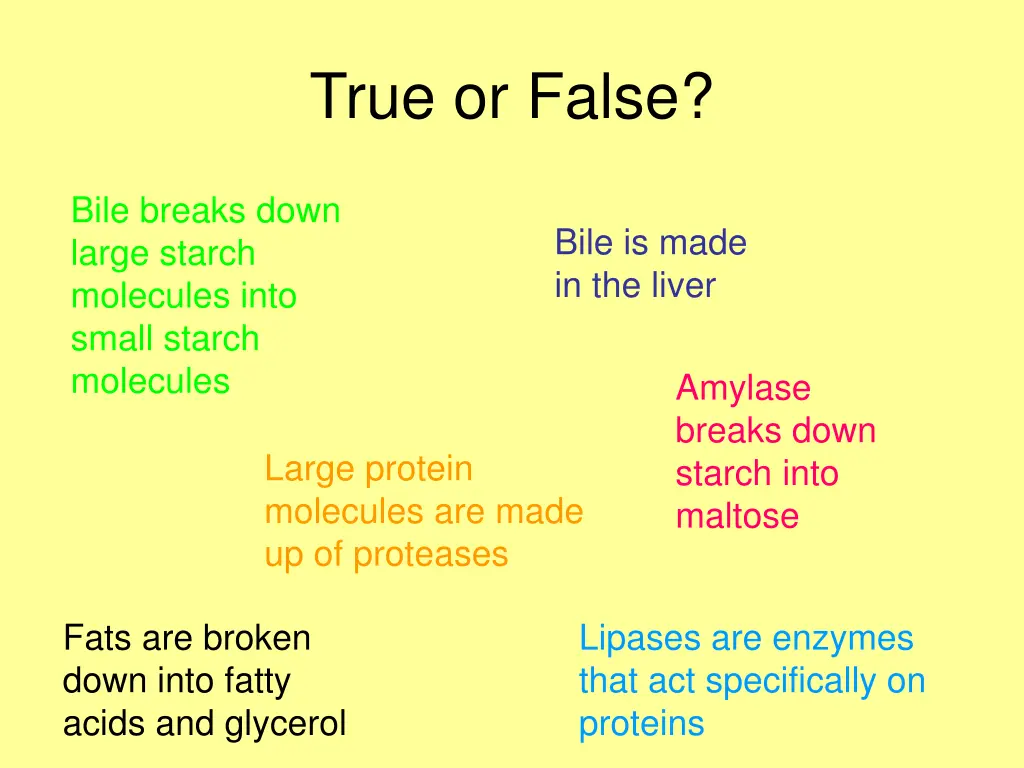 true or false