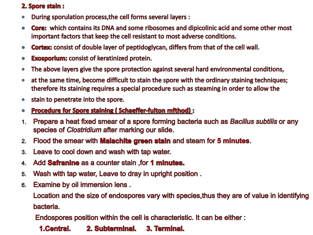 2 spore stain