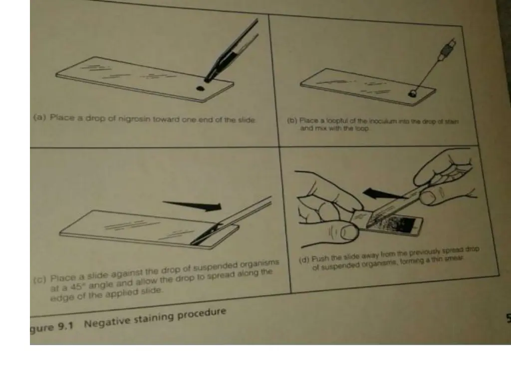 slide9
